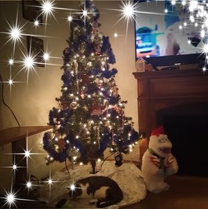 Meet your Posher, Penny